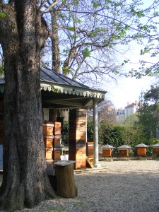 Rucher du jardin- Jardin du Luxembourg